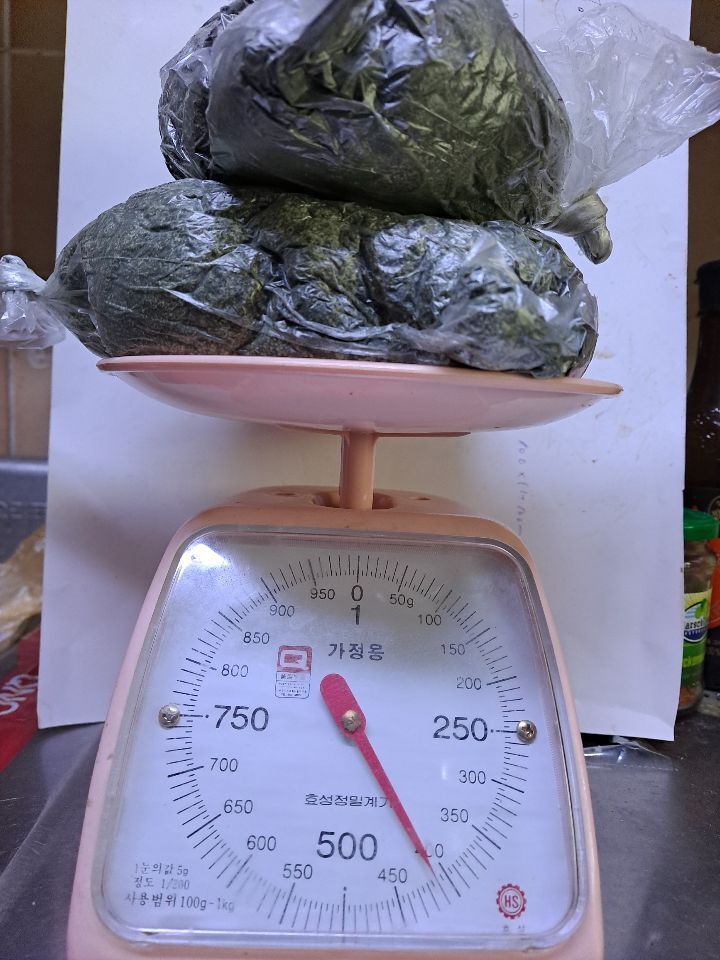 뽂기뽂기 이미지