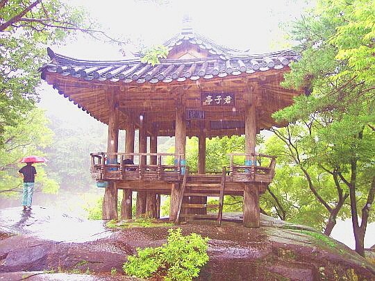 정자 이미지