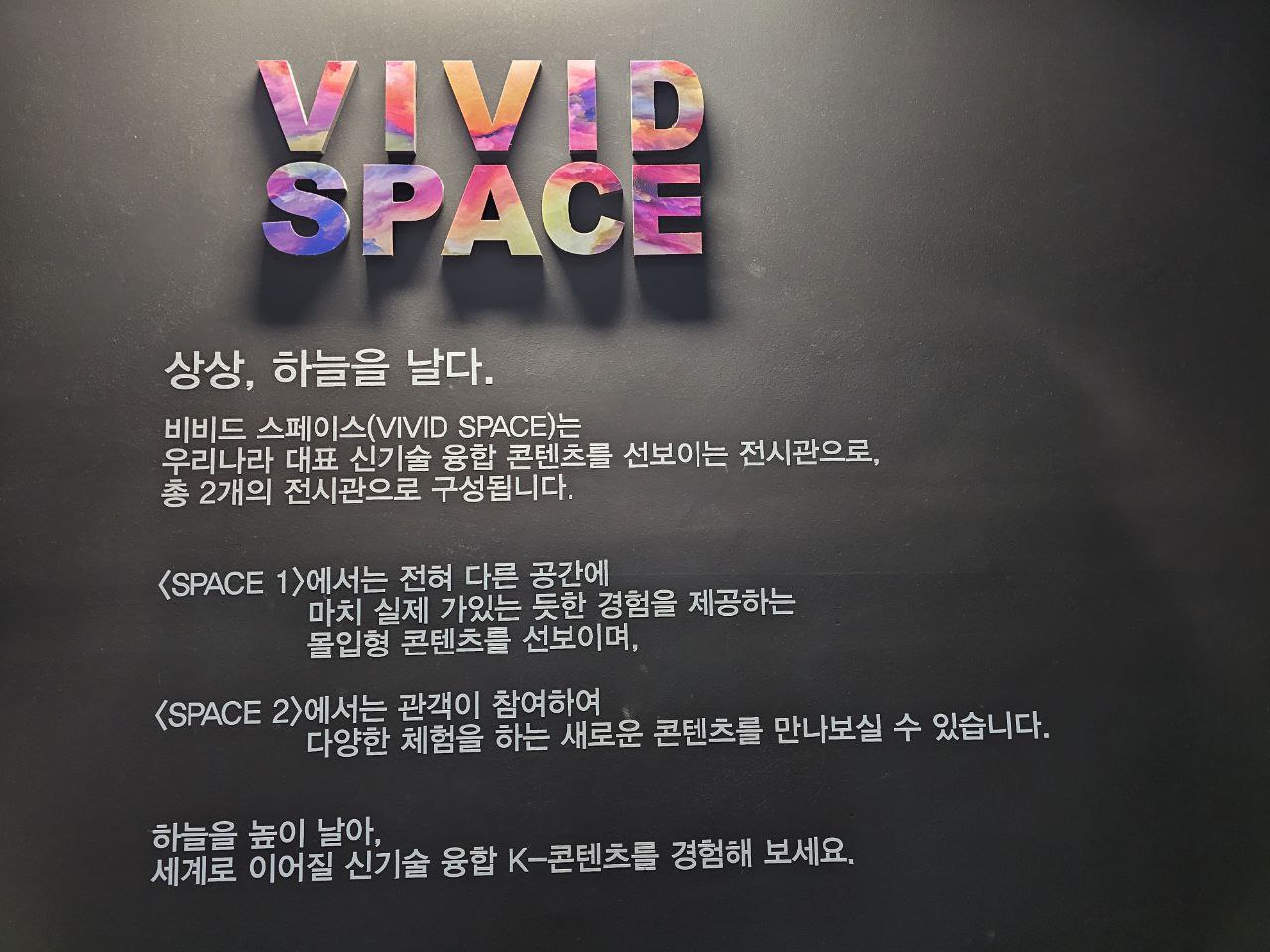 비비드vivid 이미지