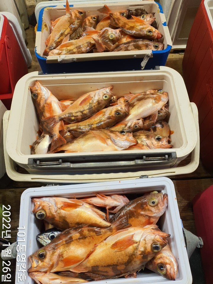 040b1a85128fd059f87c64bab9f6d06c4858ccf0