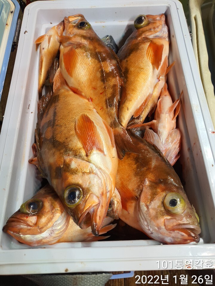 12c1e87e791db8217cc024fadcb654e6874b9db1