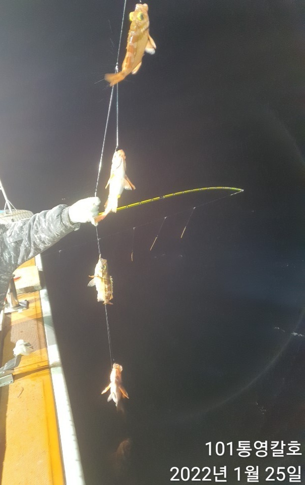 14b0915280af867d9f0fe0c409c47ef2fb7fca7b