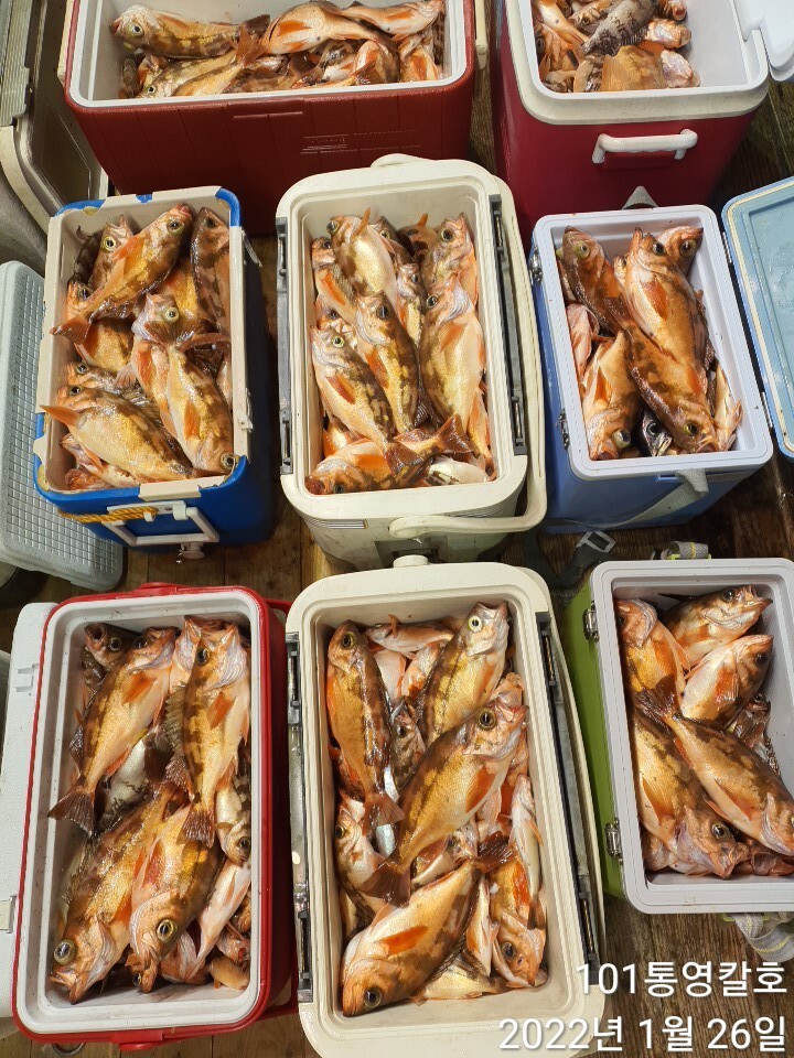 23d84e27597b2751d5282163c2d33ef5cad62693