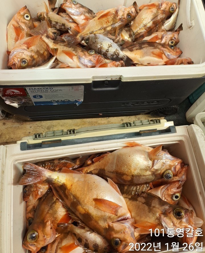 27de17d1bf658fa0a34e7a559912beab718baeea