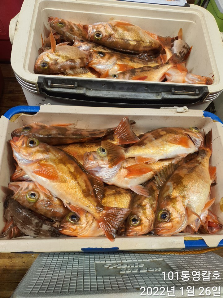 2897a5c15713348ef9ee70ae4b9f78ec62e2b41c