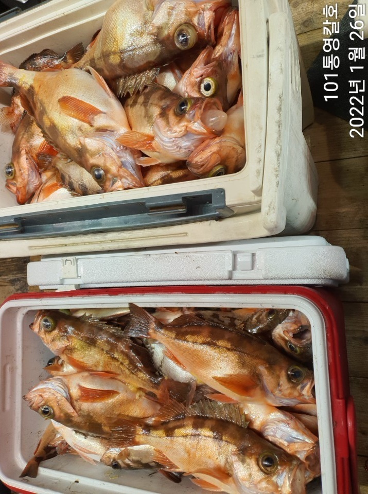 4e9279dc0d90c9d3d6a7ea0d7bb11823a9d2d59d