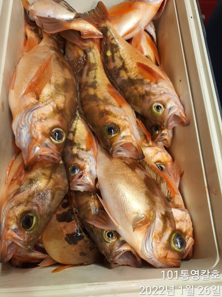 64518785f832d6b3198eeeadd0c2b63ee056ffc1