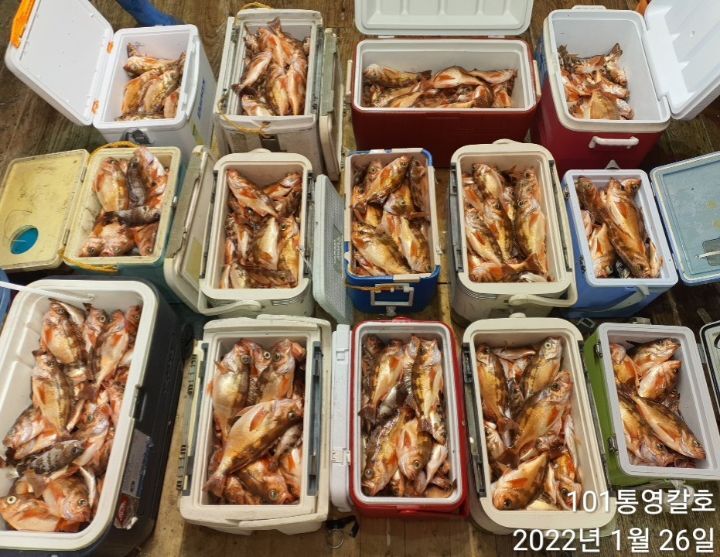 689934ab346e4d0596dfe1181d91ae59349be4f6