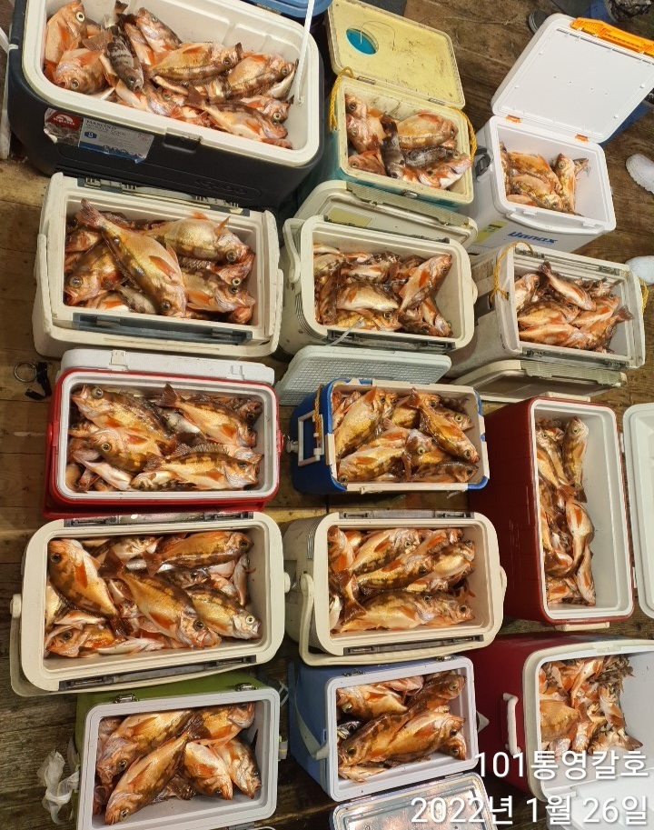 7457a0a029019d69f65fd0be3875c89761c1e024