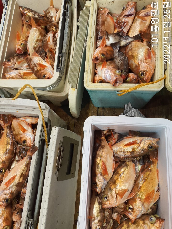 996961b76b764c791569fc7a873f1123c0f7c6b7