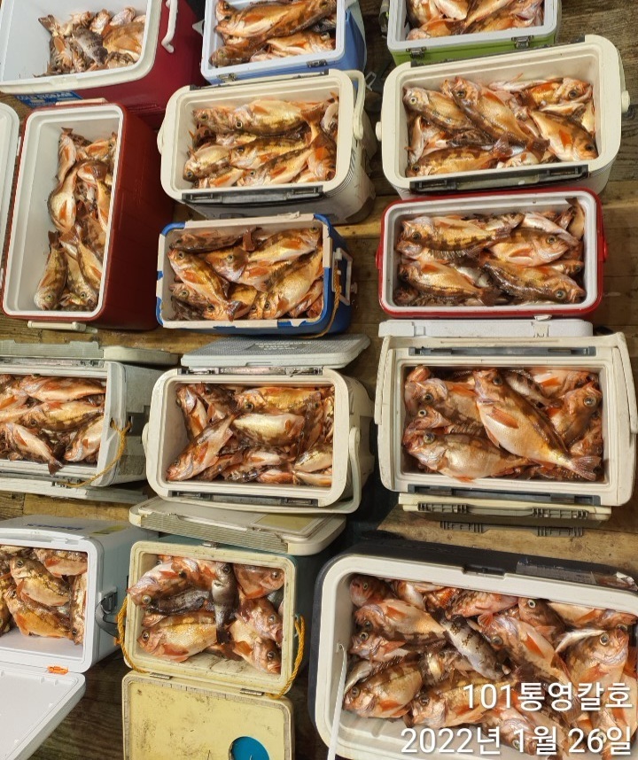 a23c1e66706344efcecd71c277ba2a9b558b12d1