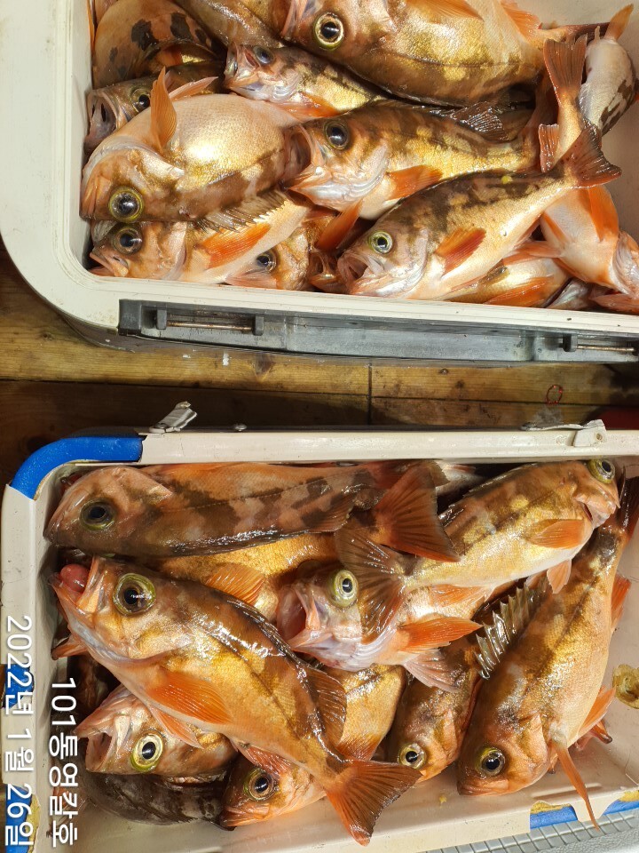 a62b8f9c3beef488a20aed7b88bc40dd5e5c3e0e