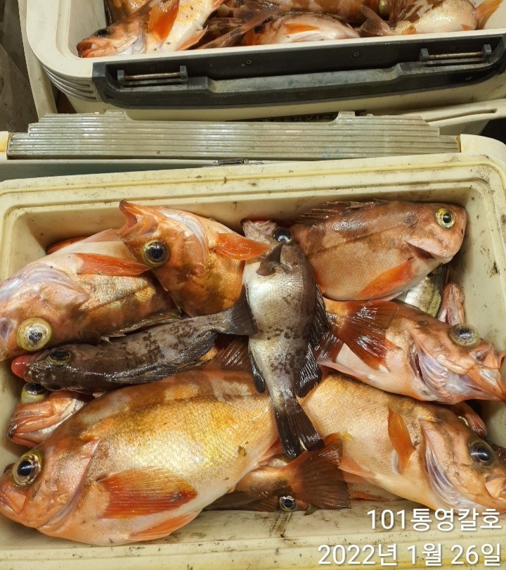 b2b9ad947ff6d8d7b98f129f67ac89731e0f8677