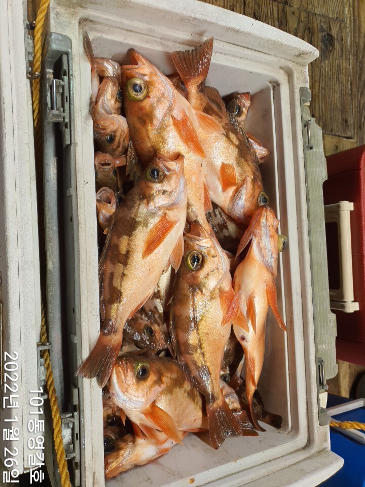 b335e15df22d47f863e824cc89172d93fe9efd70