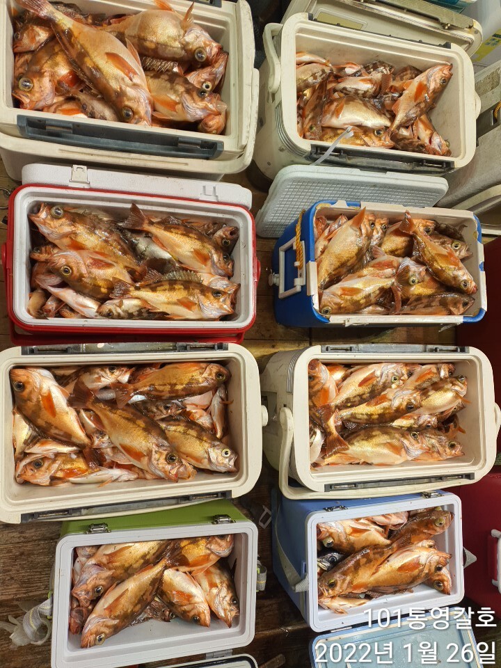 b619bf705091a52d57328d355cdd8562eec61009