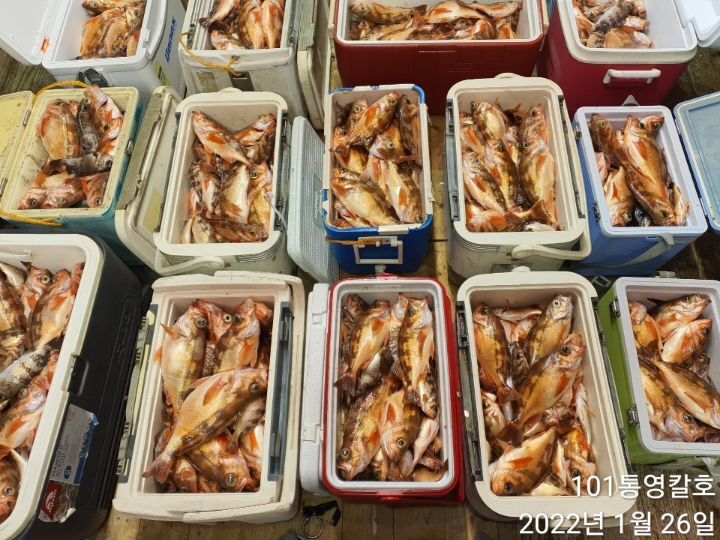 ca7db732add207feeda1b23f271a23d1e0a8866d