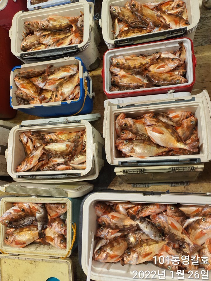 d0b8b9ec10d04427ec1c54432a9b7934ff052c28