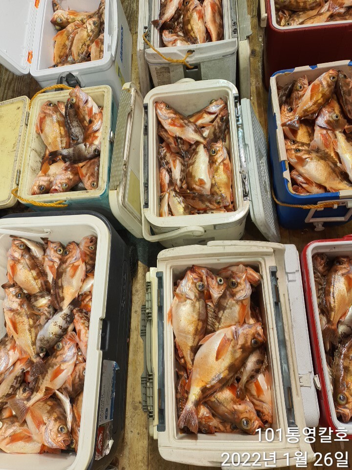 fb498e3aea251092f50b4cd058b75136bdfeb446