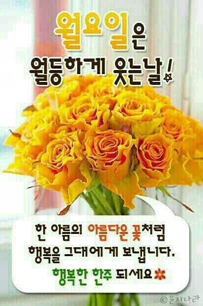 월요일 이미지