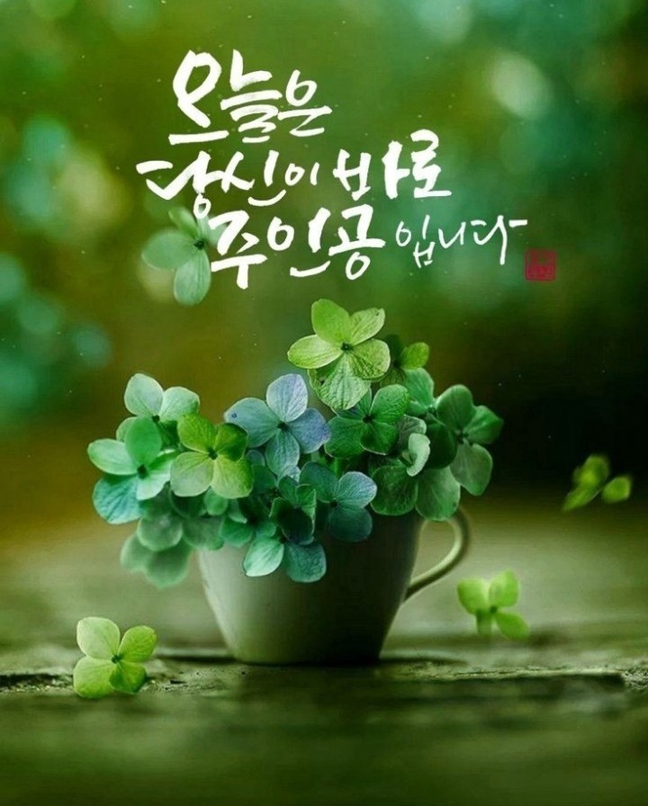 멋진하루 이미지