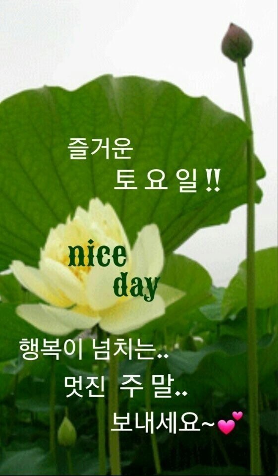 토요일 이미지