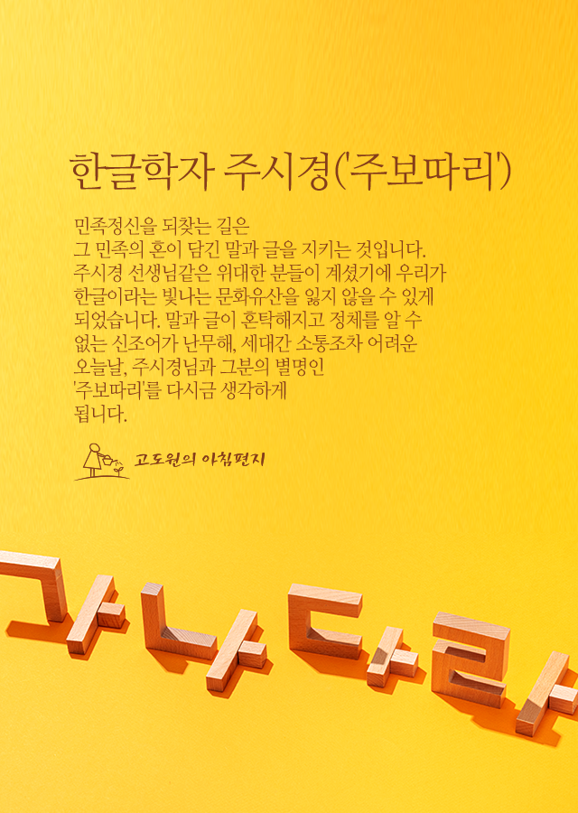 따리나 이미지