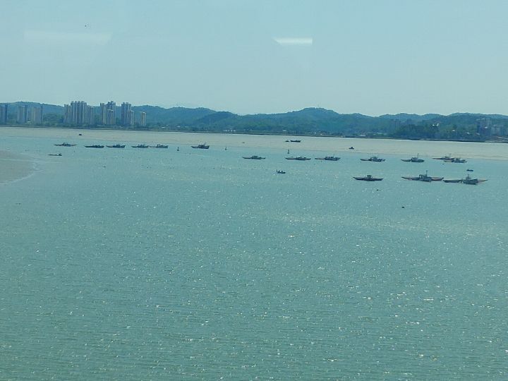 해송 이미지