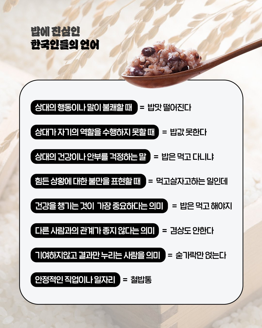 밥에 진심 이미지