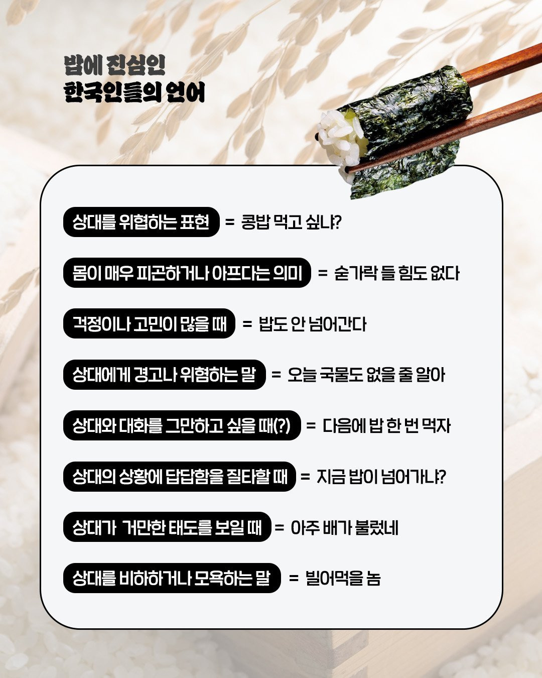 밥에 진심 이미지
