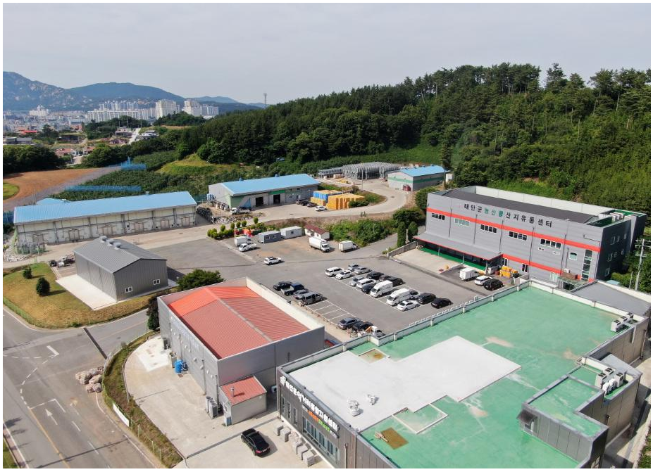 산지유통 이미지
