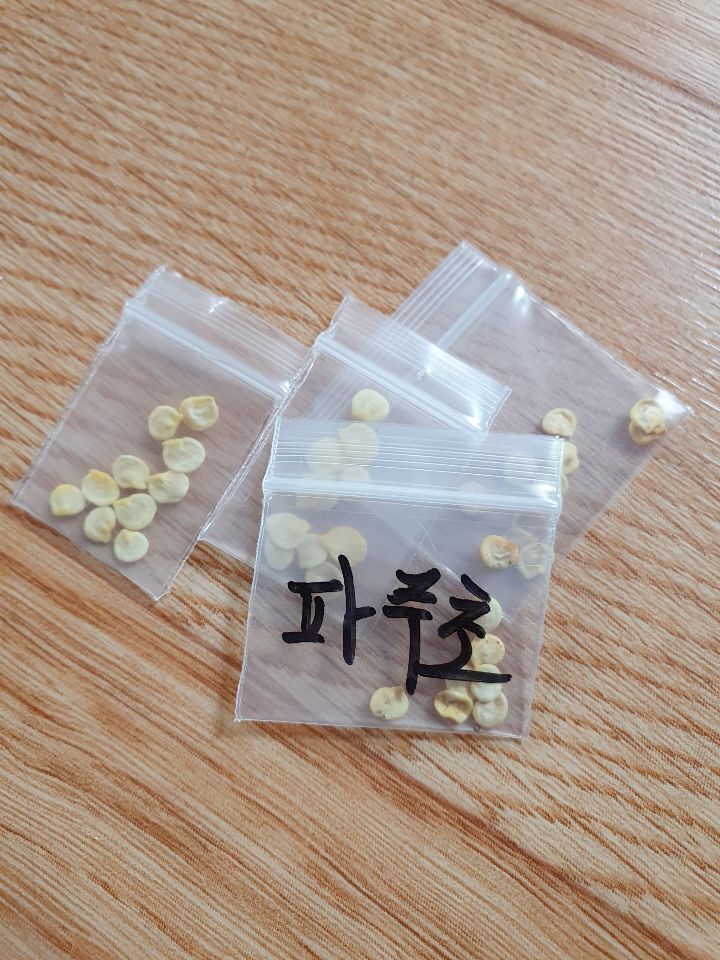 파주초등학교 이미지