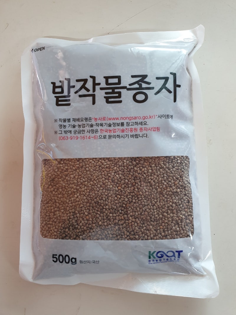 수연 이미지