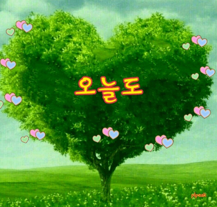 시골오리 이미지