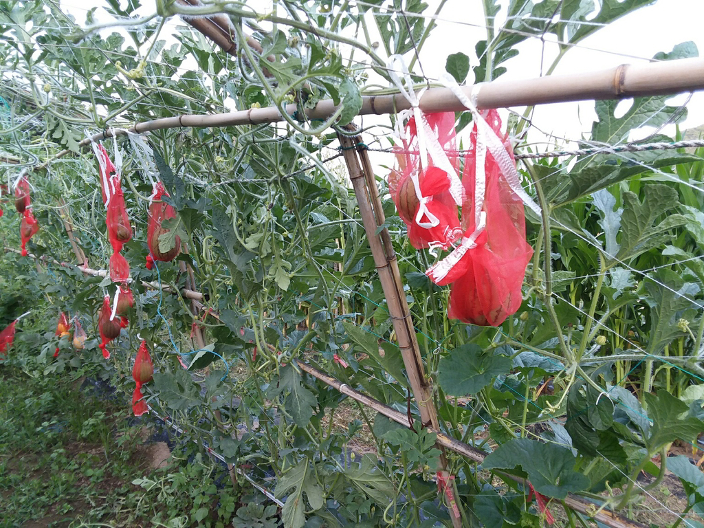 다글다글 이미지