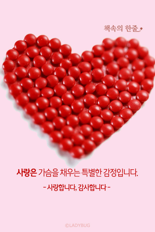 정이네몰 이미지