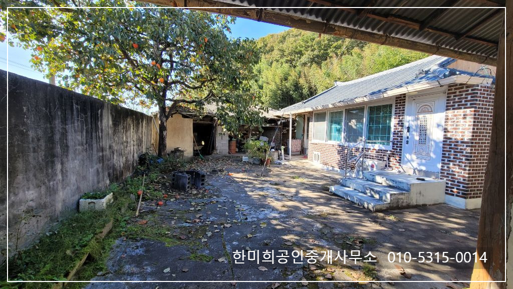 감나무집 사진 4