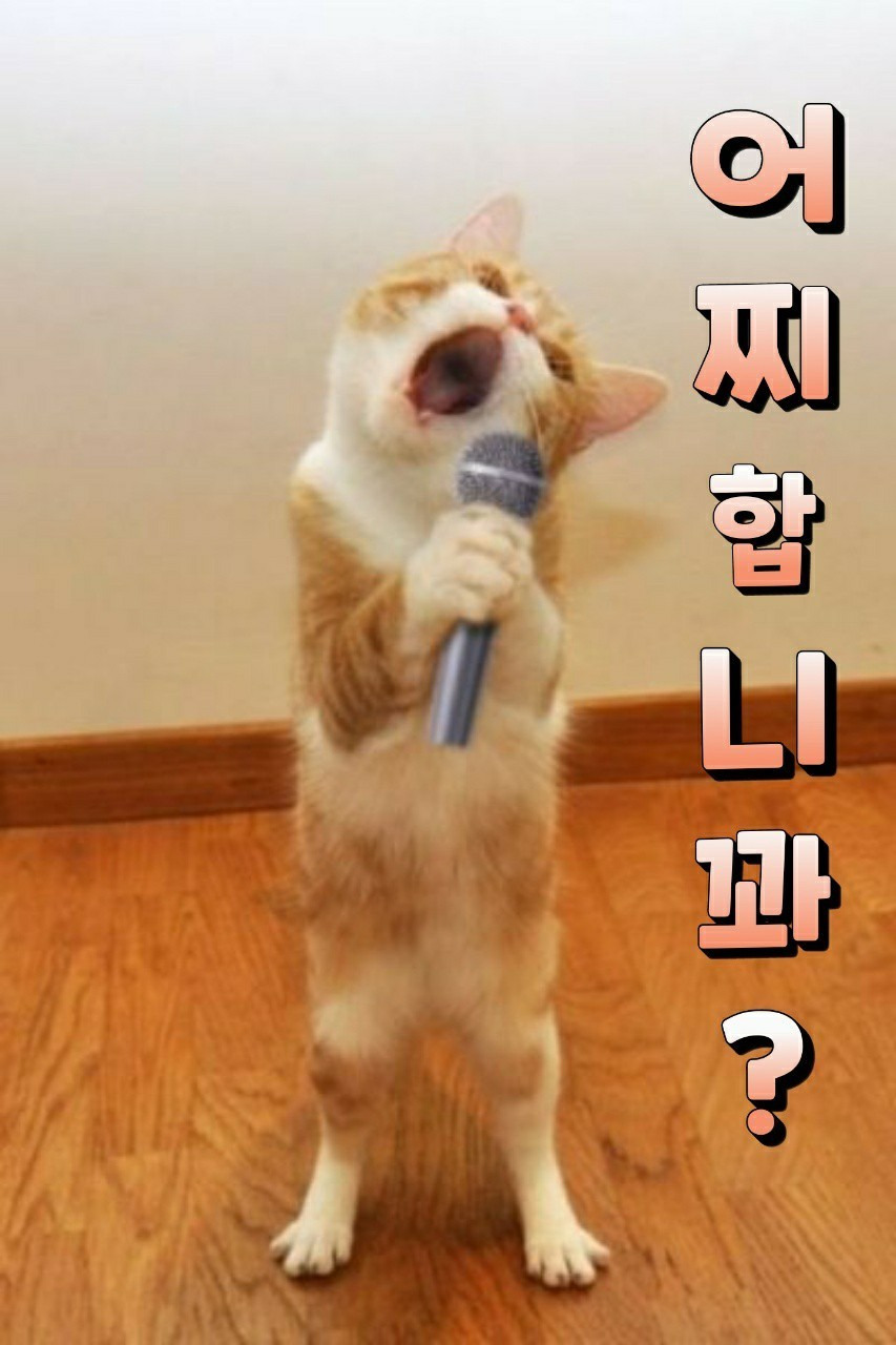 꼬추 이미지