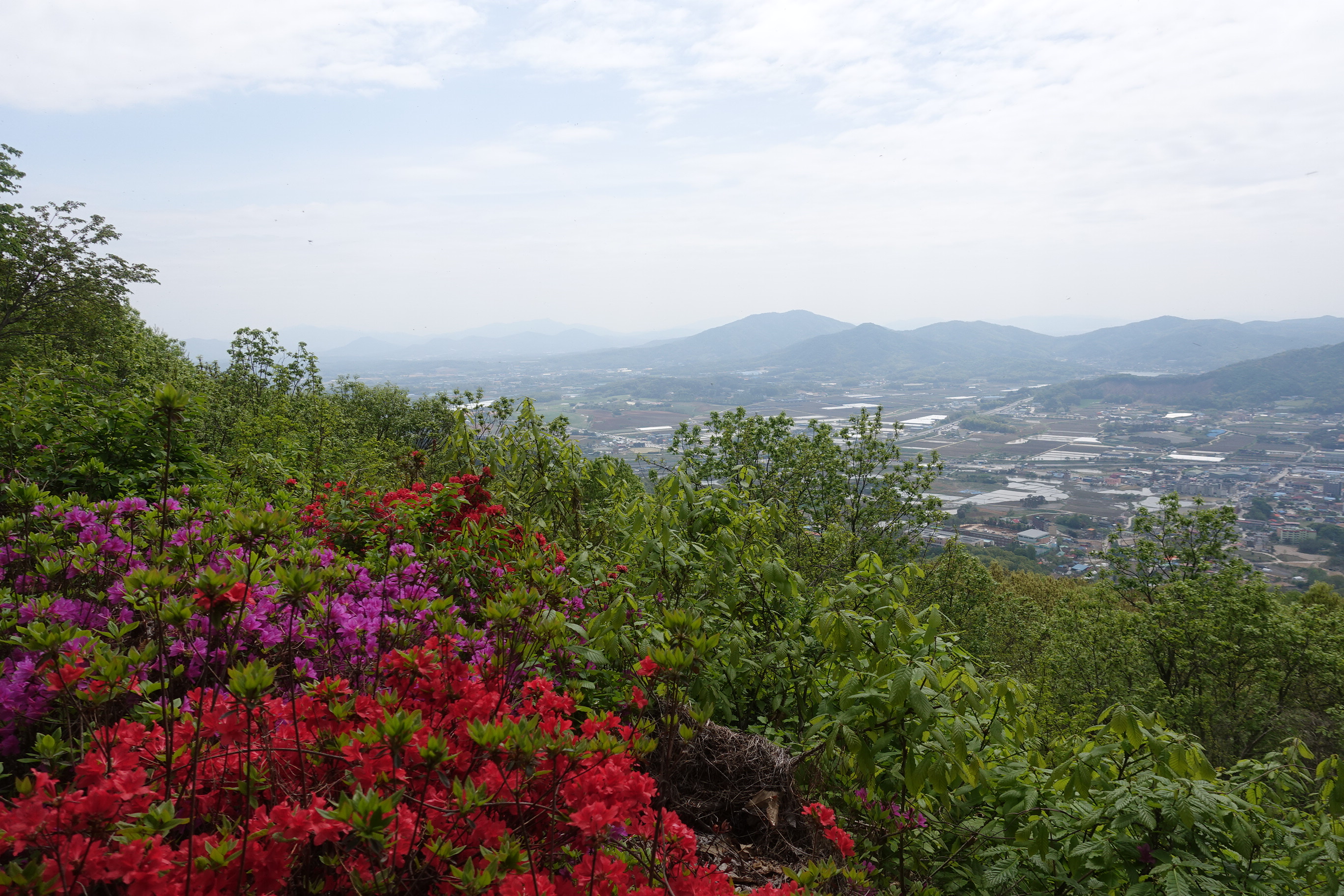 죽림산 정상 이미지