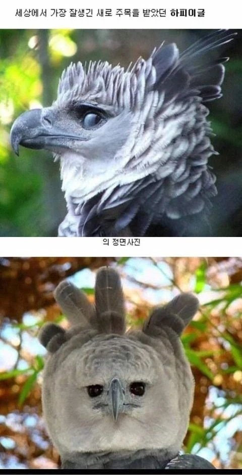 사진하는사람 이미지