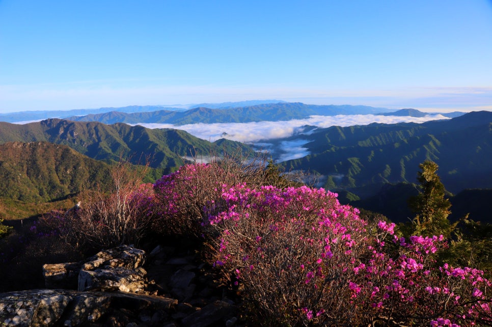 서북 이미지