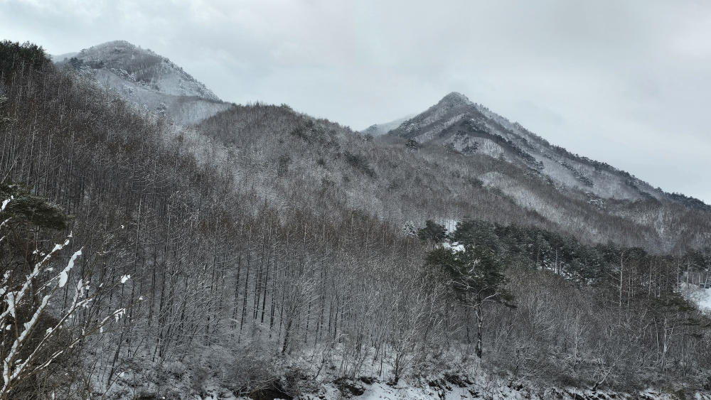 수하리 이미지