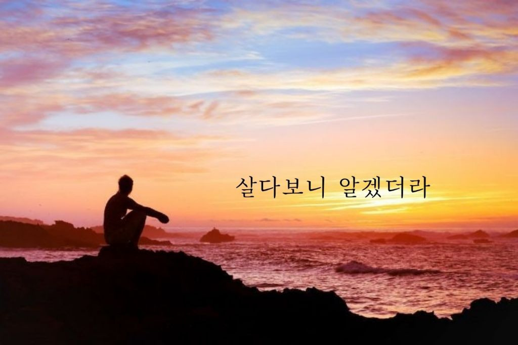 살다보면 이미지