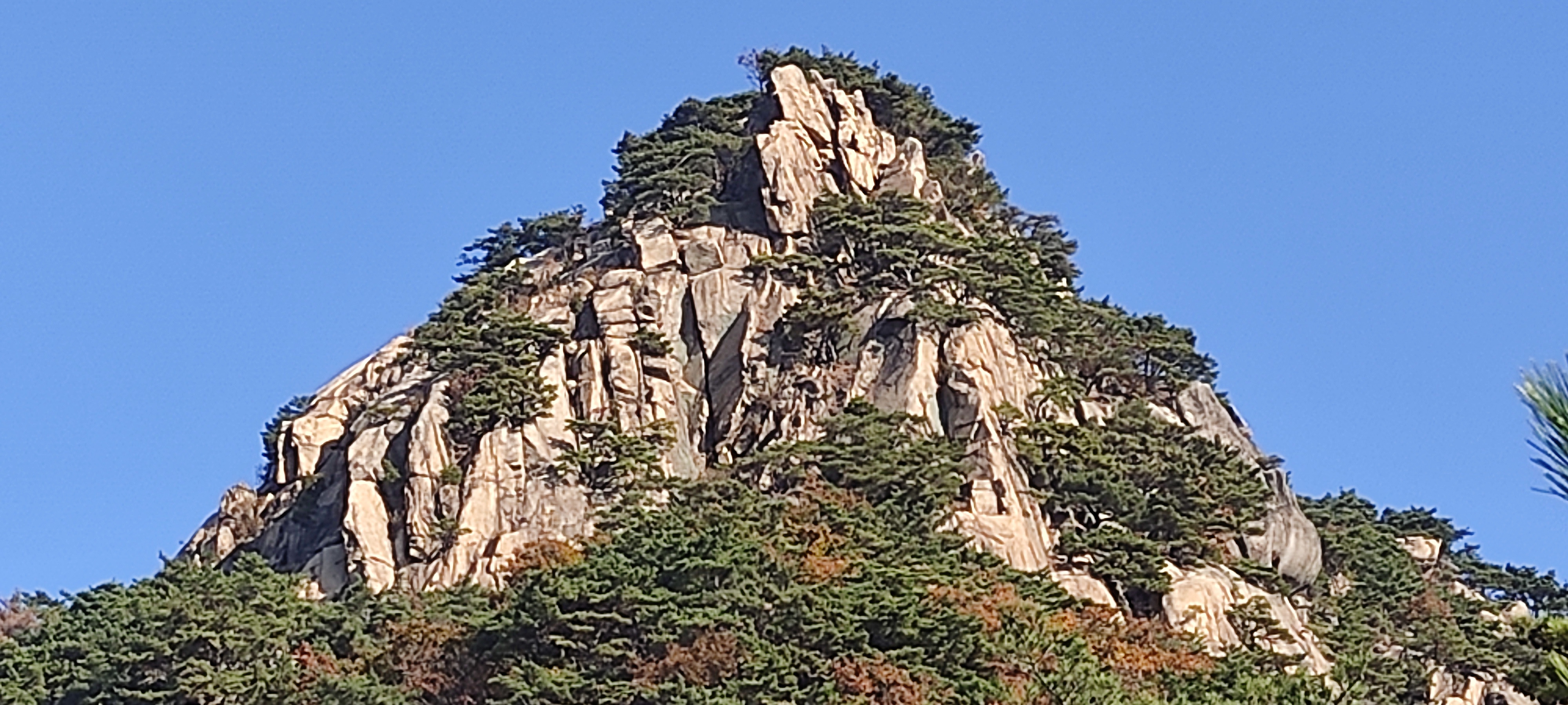 데크 조망점 이미지