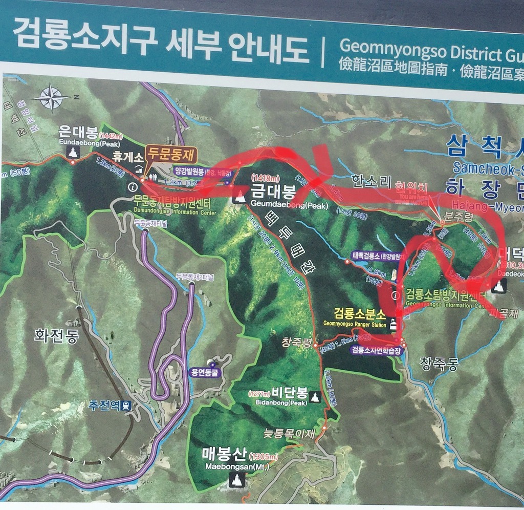 삼성화원 이미지