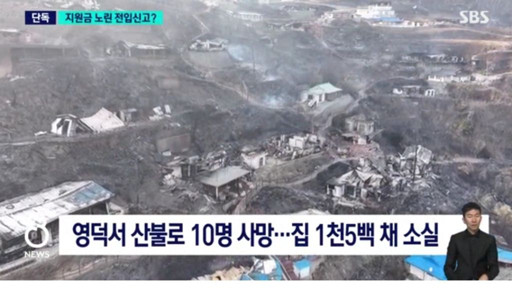 재난지원금 받으려고 급히 산불피해지역에 전입신고한 사람들 | 인스티즈