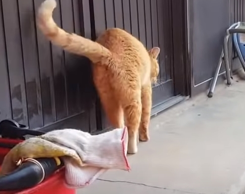 01fd8454da3bd3a2c47d96db675a9ff1f2203867