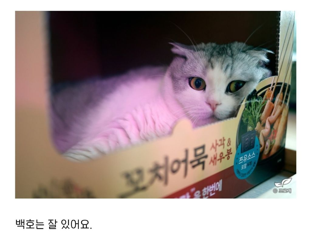 알도 부화 시키는 드루이드.jpg | 인스티즈