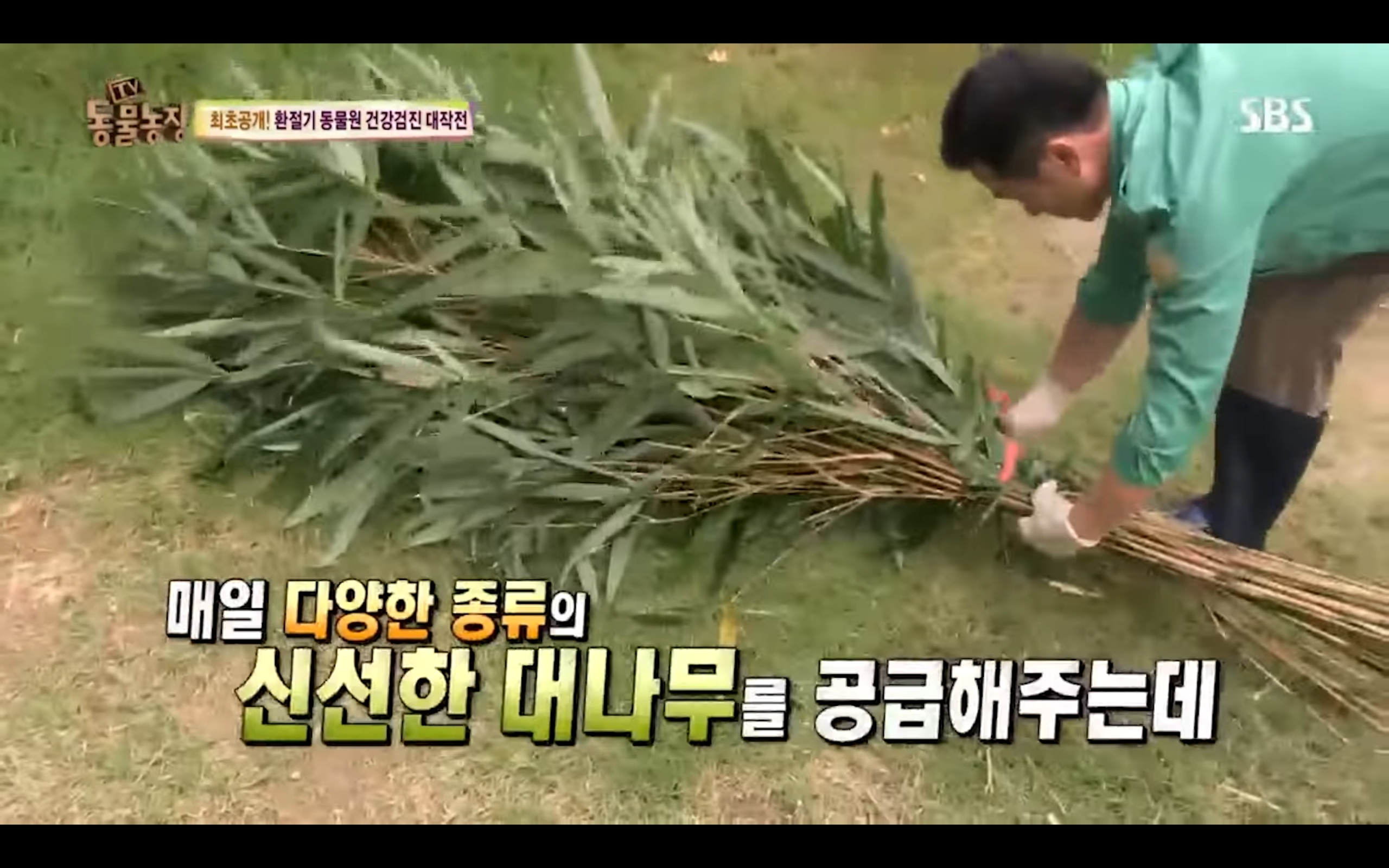 06d238e3721c92ec56a4b4ac72ef89ef54d45d57