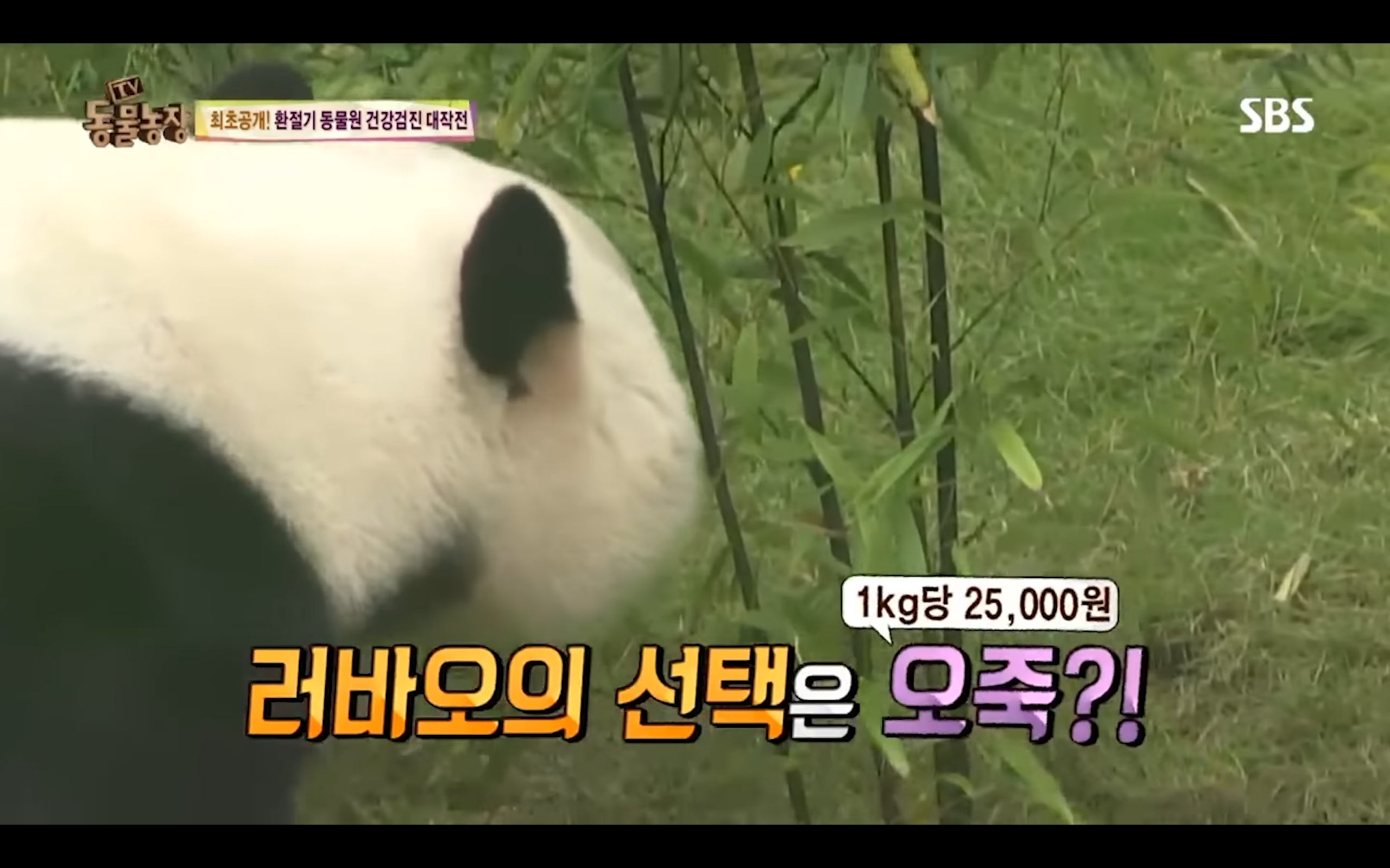 06f8401b56ae20a51d2c87fc82b38bdbe39c3394