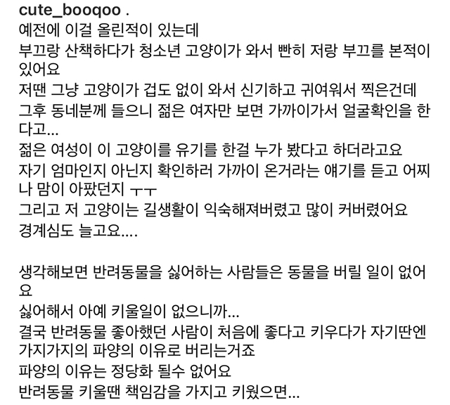 고양이가 가까이 와서 얼굴 확인한 이유 | 인스티즈